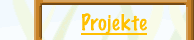 Projekte